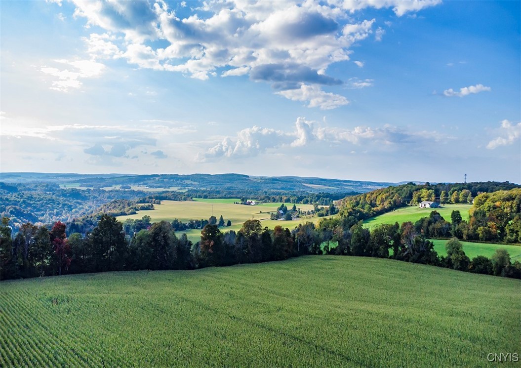 0 Tucker Road New Woodstock, NY 13122 - Photo 6 of 9