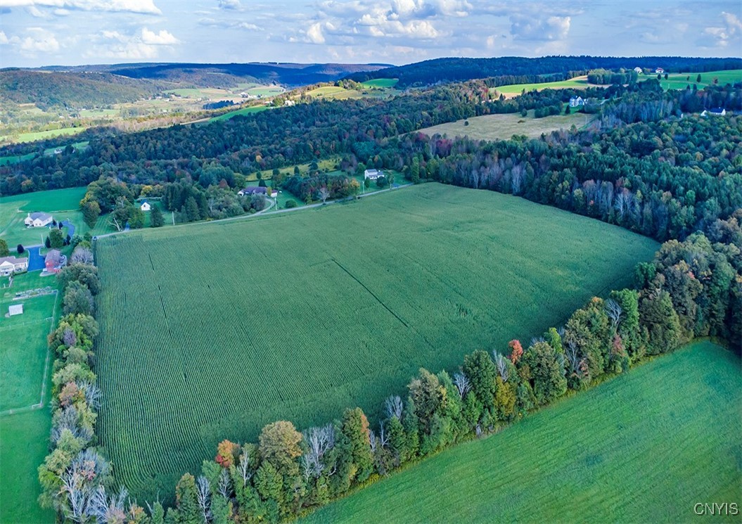 0 Tucker Road New Woodstock, NY 13122 - Photo 7 of 9