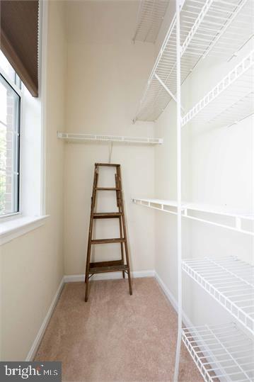 6002 Lincolnia Road Alexandria, VA 22312 - Photo 22 of 22