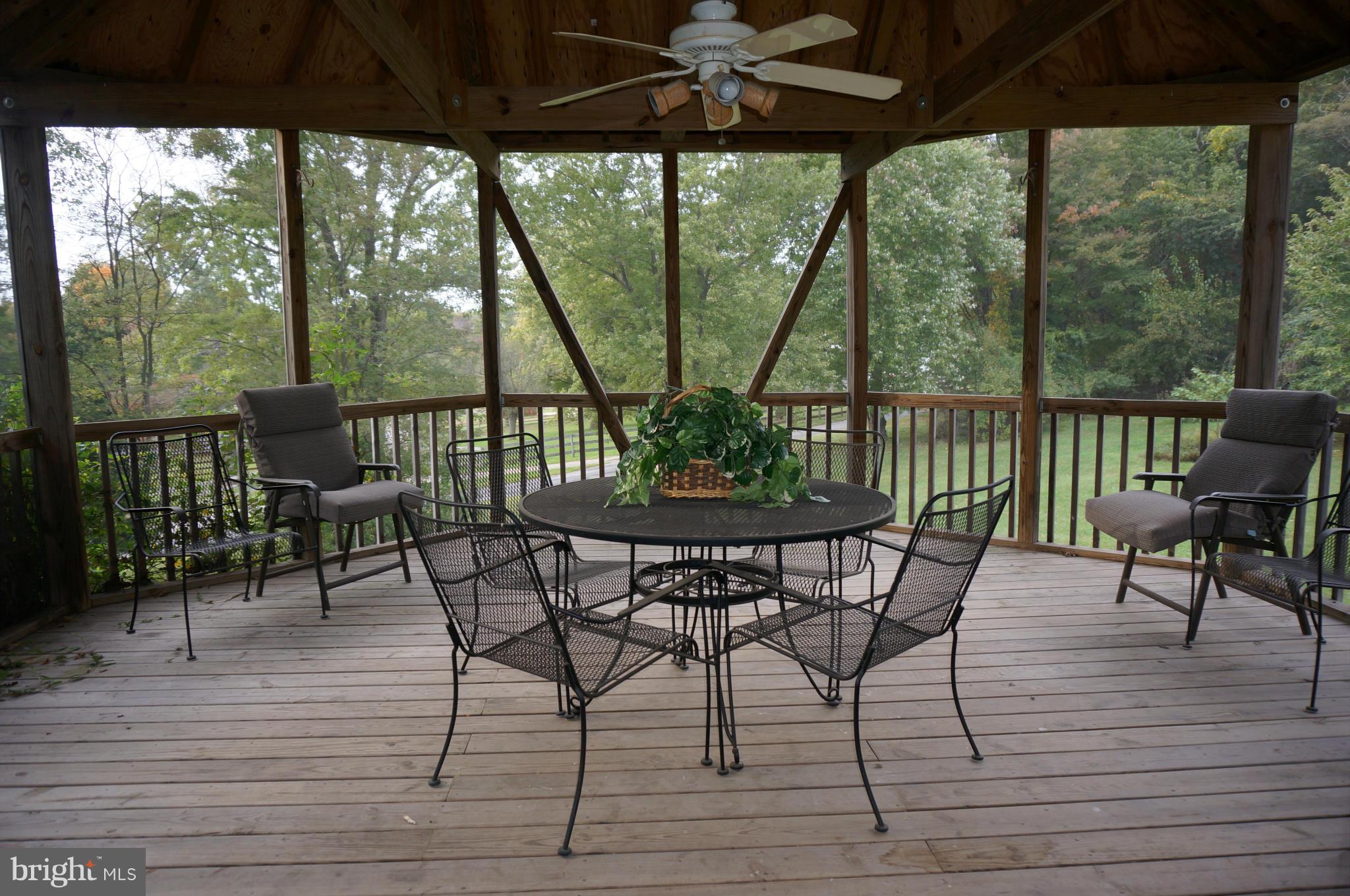 15090 Frederick Road Woodbine, MD 21797 - Photo 14 of 30 Screened Gazebo with Cathedral Ceiling