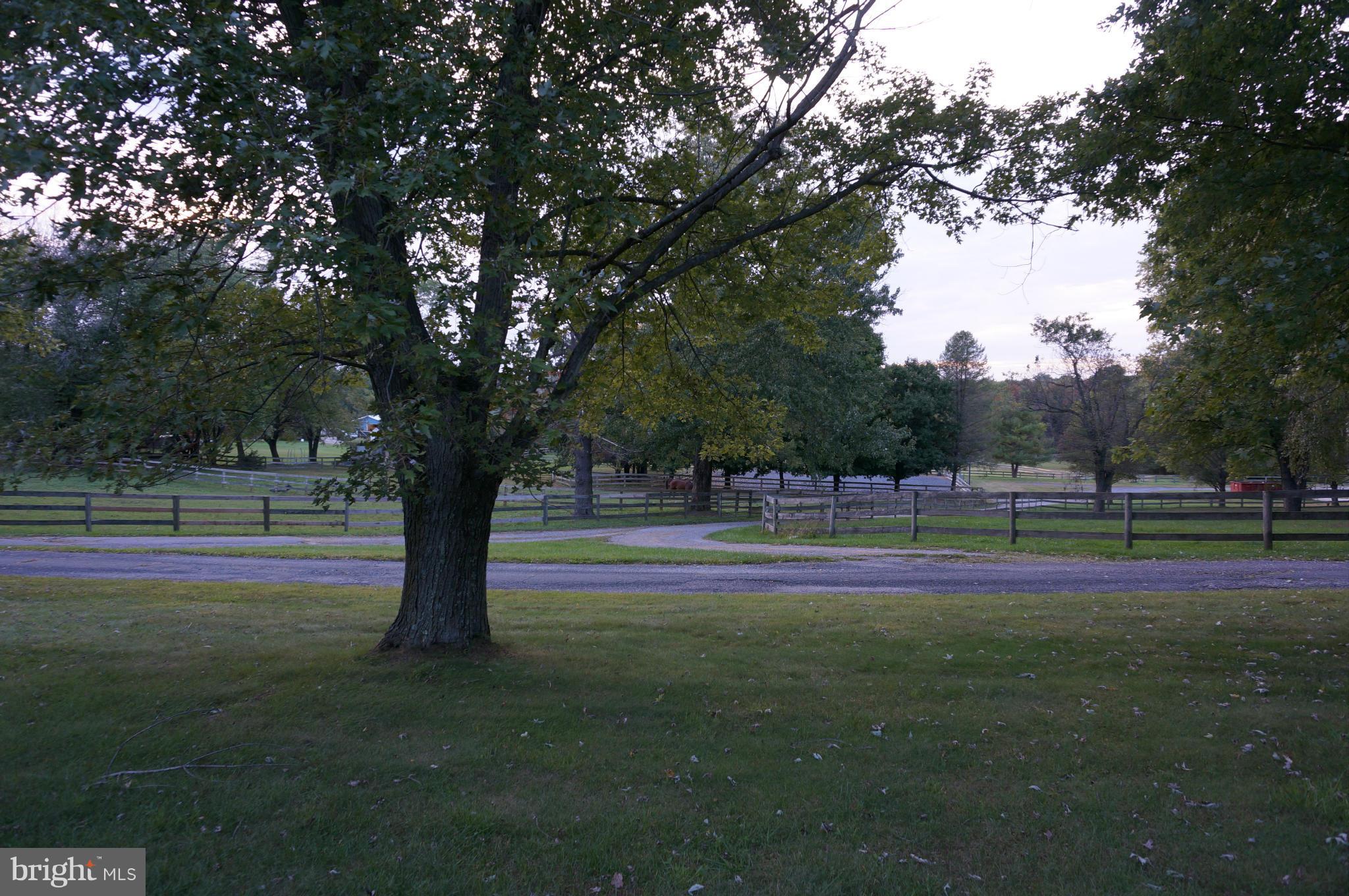 15090 Frederick Road Woodbine, MD 21797 - Photo 15 of 30 View of Horse Farm