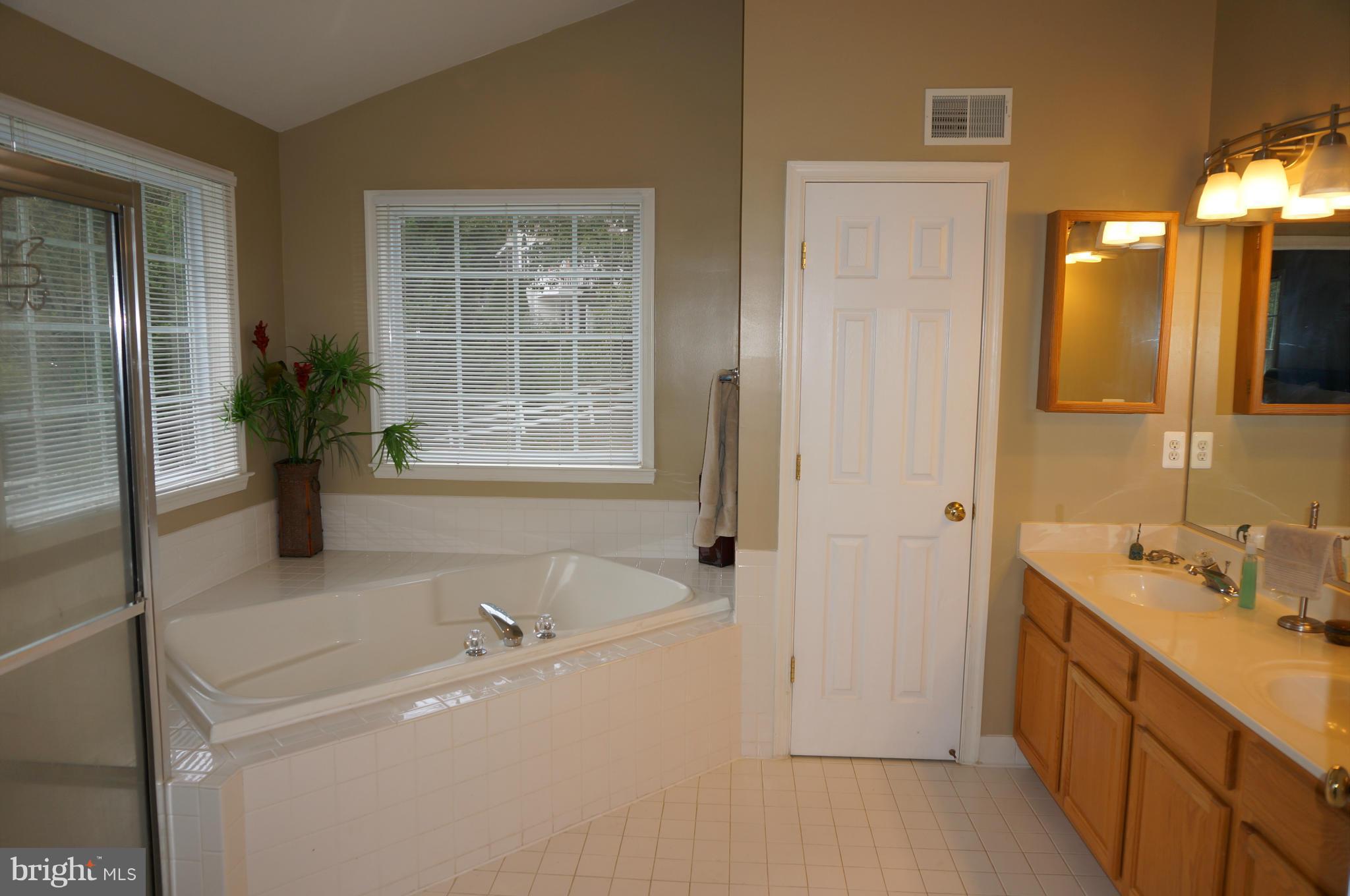 15090 Frederick Road Woodbine, MD 21797 - Photo 20 of 30 Cathedral Ceiling MBA