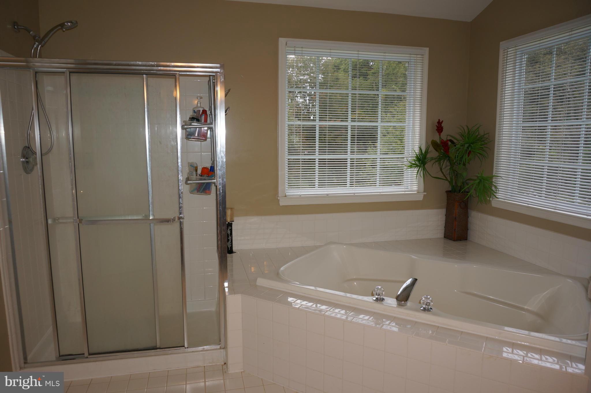 15090 Frederick Road Woodbine, MD 21797 - Photo 21 of 30 Soaking Tub and Separate Shower