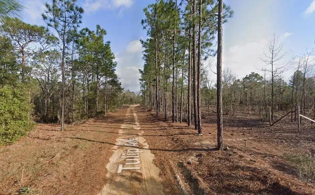 a view of a backyard with large trees