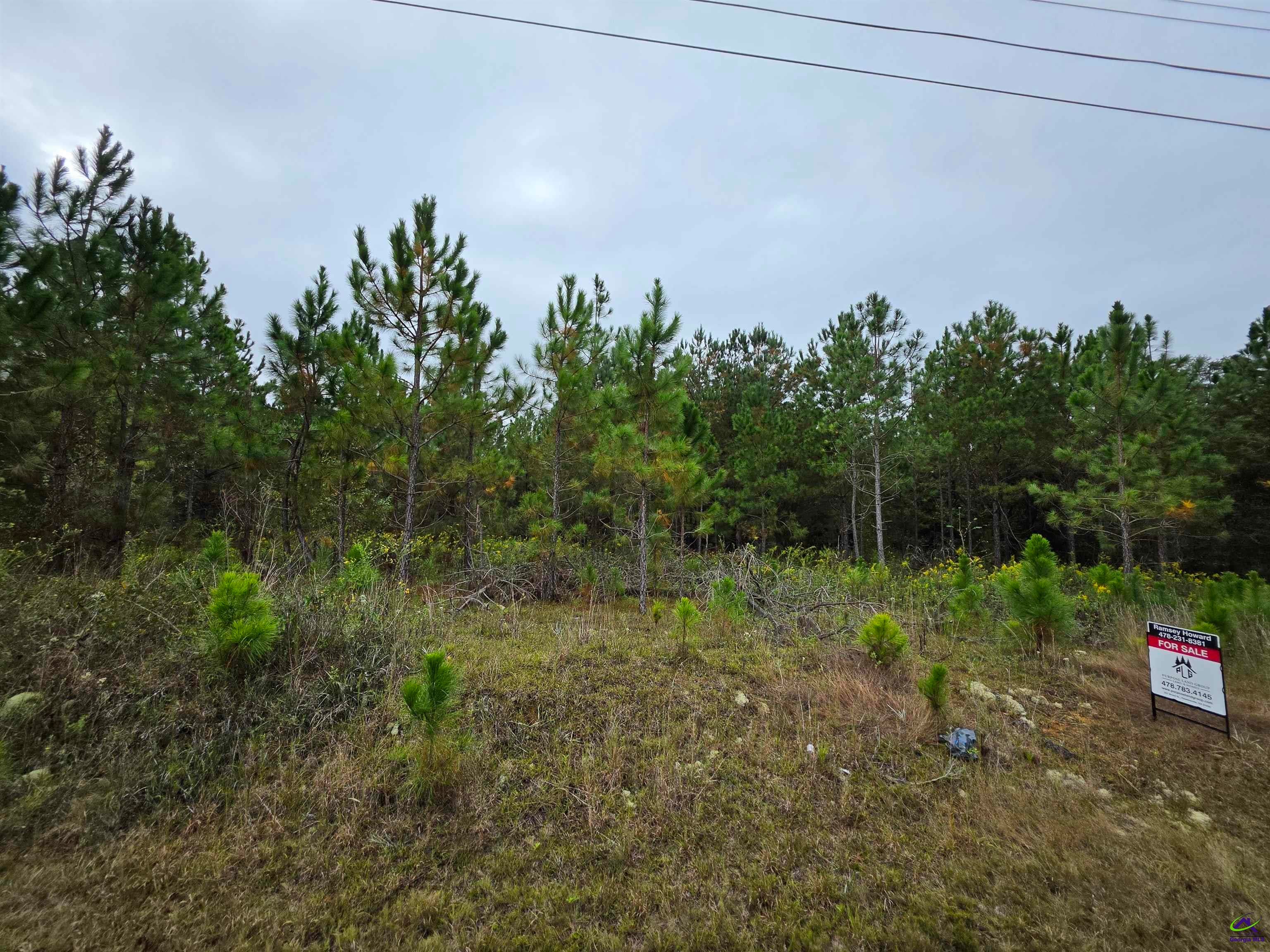 0 Benny Sharp Road Hawkinsville, GA 31036 - Photo 4 of 9 Gallery Image 4