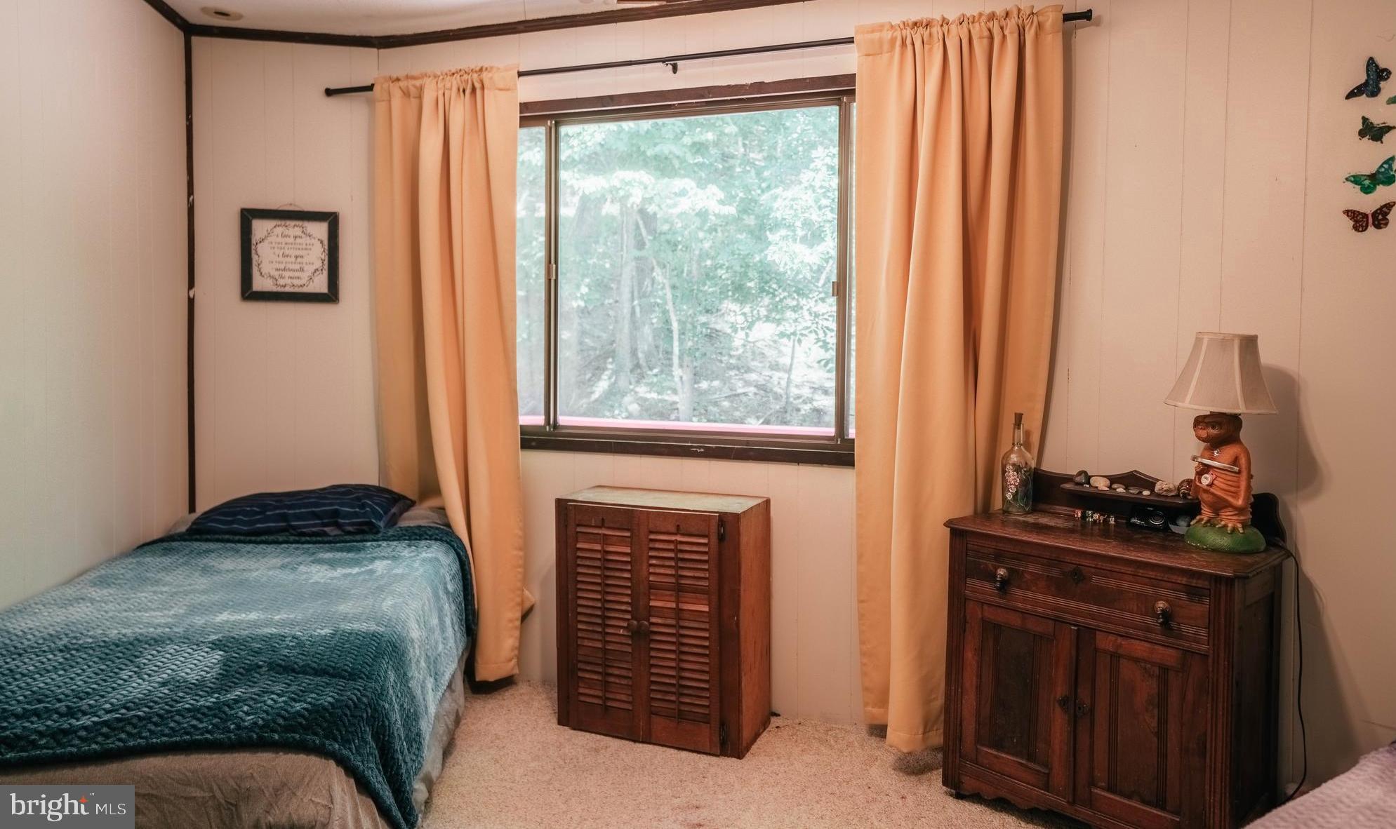 49 Raccoon Road Basye, VA 22842 - Photo 11 of 27 Gallery Image 11