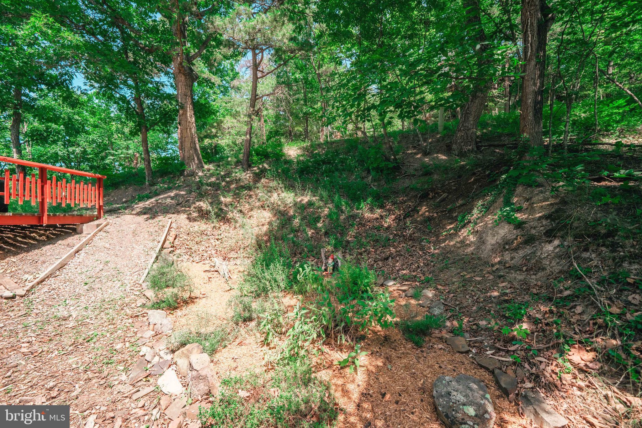 49 Raccoon Road Basye, VA 22842 - Photo 20 of 27 Gallery Image 20