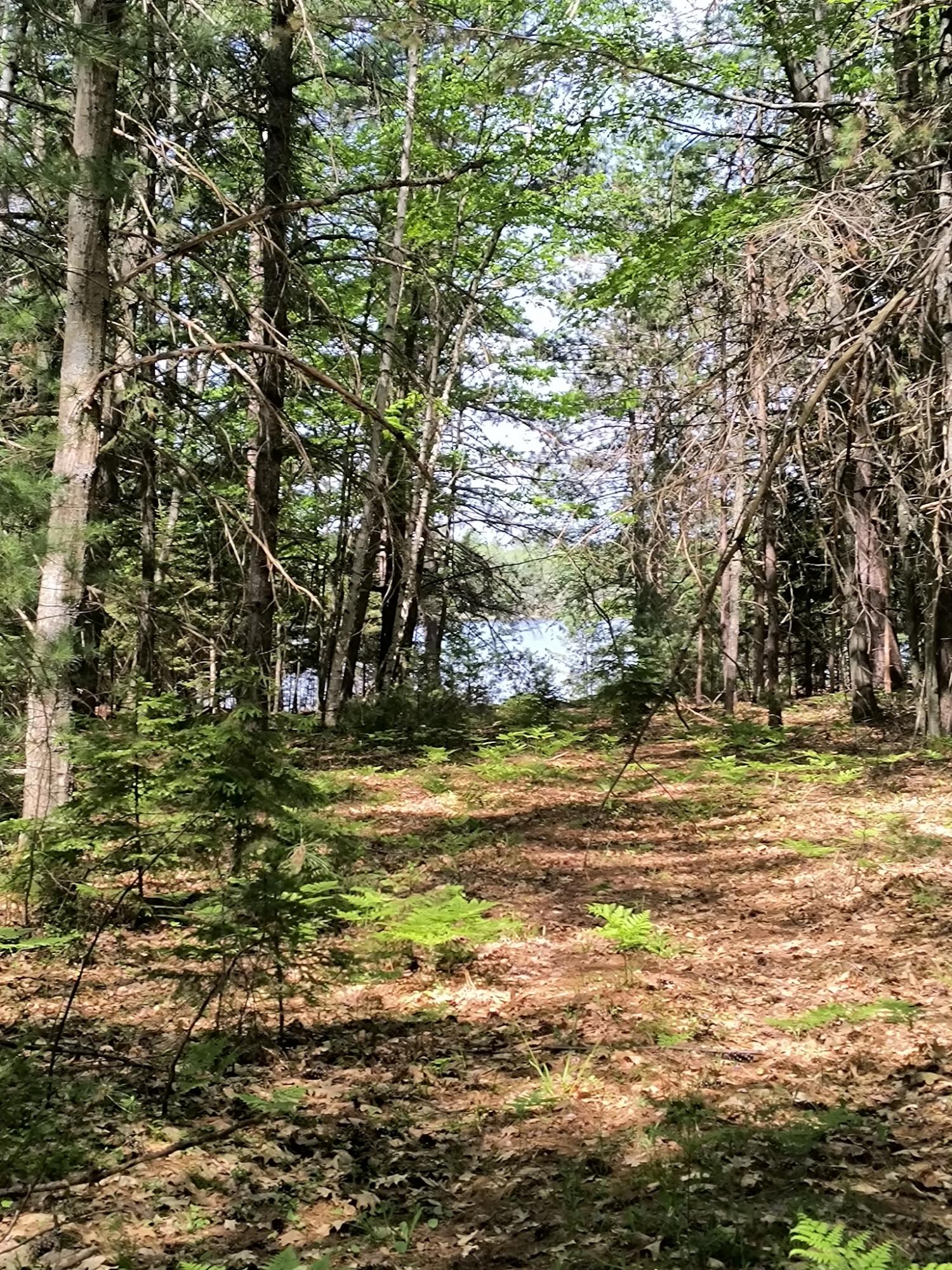 On Silver Lake Road Rhinelander, WI 54501 - Photo 13 of 16 Gallery Image 13