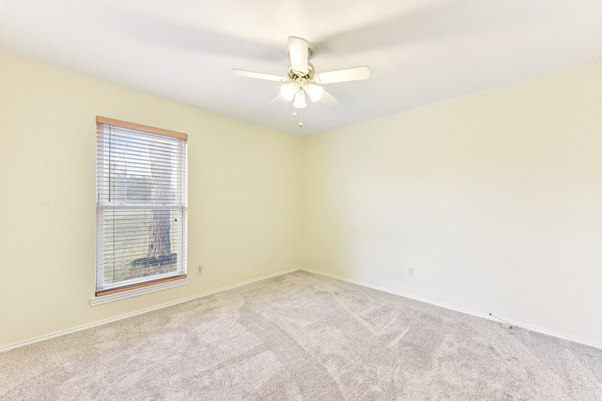 504 Buckaroo Trail Buda, TX 78610 - Photo 17 of 39 Carpeted spare room with baseboards and ceiling fan