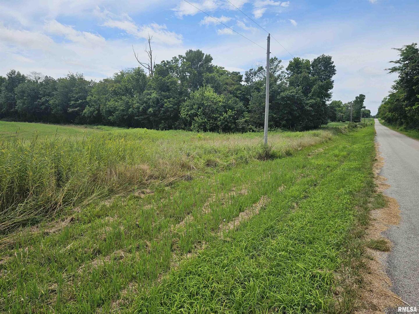 0 Roseborough Road Sparta, IL 62286 - Photo 3 of 6 a view of a green field