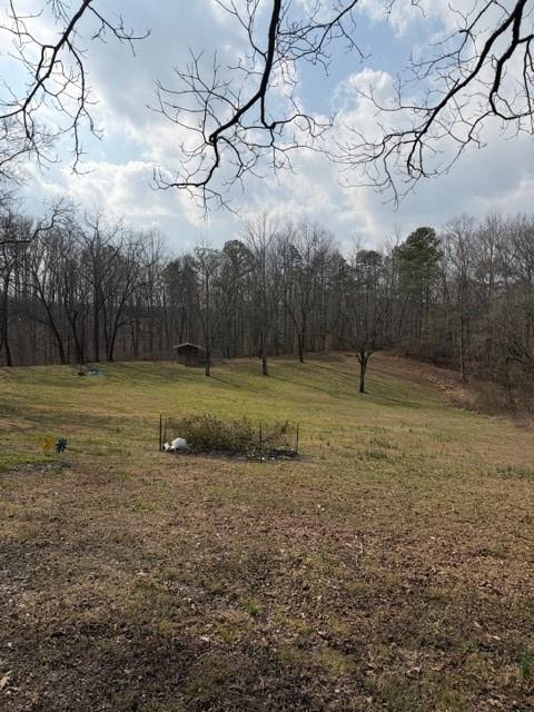 3228 Highway 53 Jasper, GA 30143 - Photo 11 of 16 a view of a park