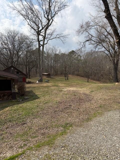 3228 Highway 53 Jasper, GA 30143 - Photo 9 of 16