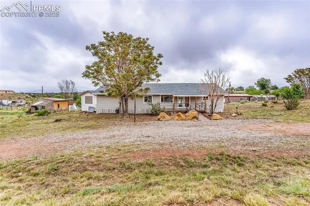 a view of a house with backyard and a tree