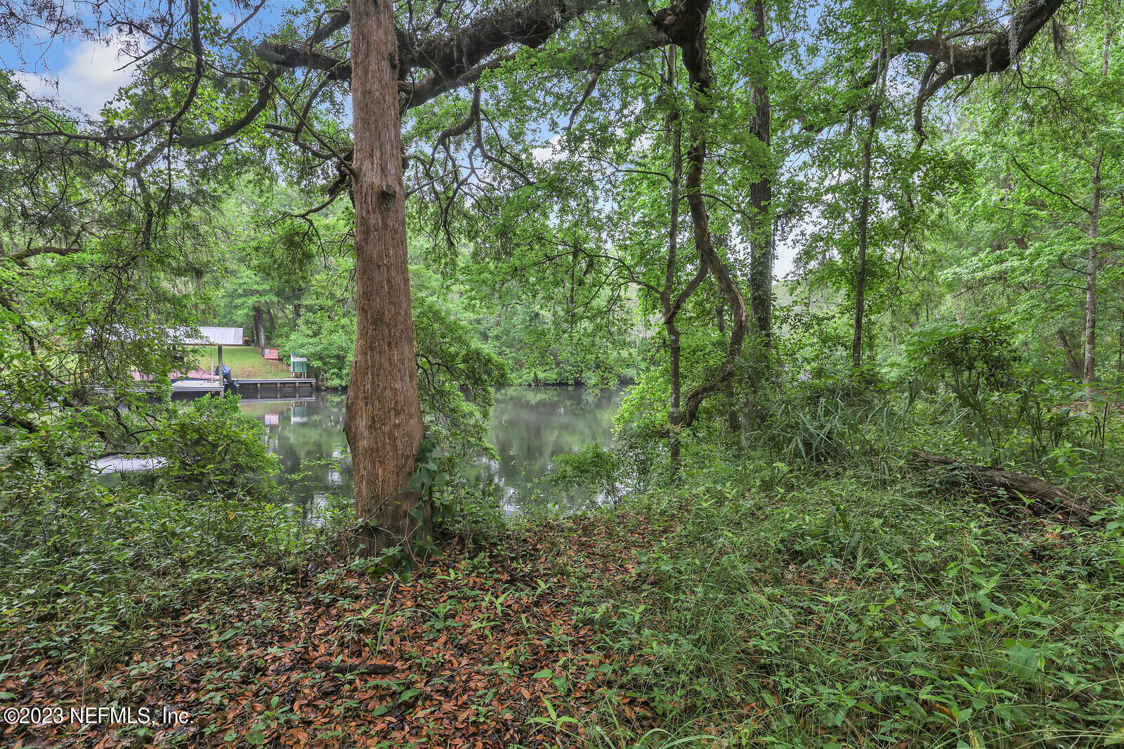 4250 Banks Road Middleburg, FL 32068 - Photo 12 of 48 a green field with lots of trees