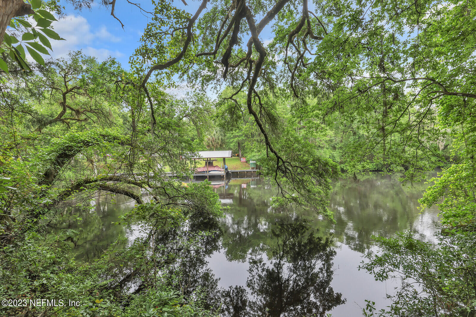 4250 Banks Road Middleburg, FL 32068 - Photo 13 of 48 a view of a tree with a yard