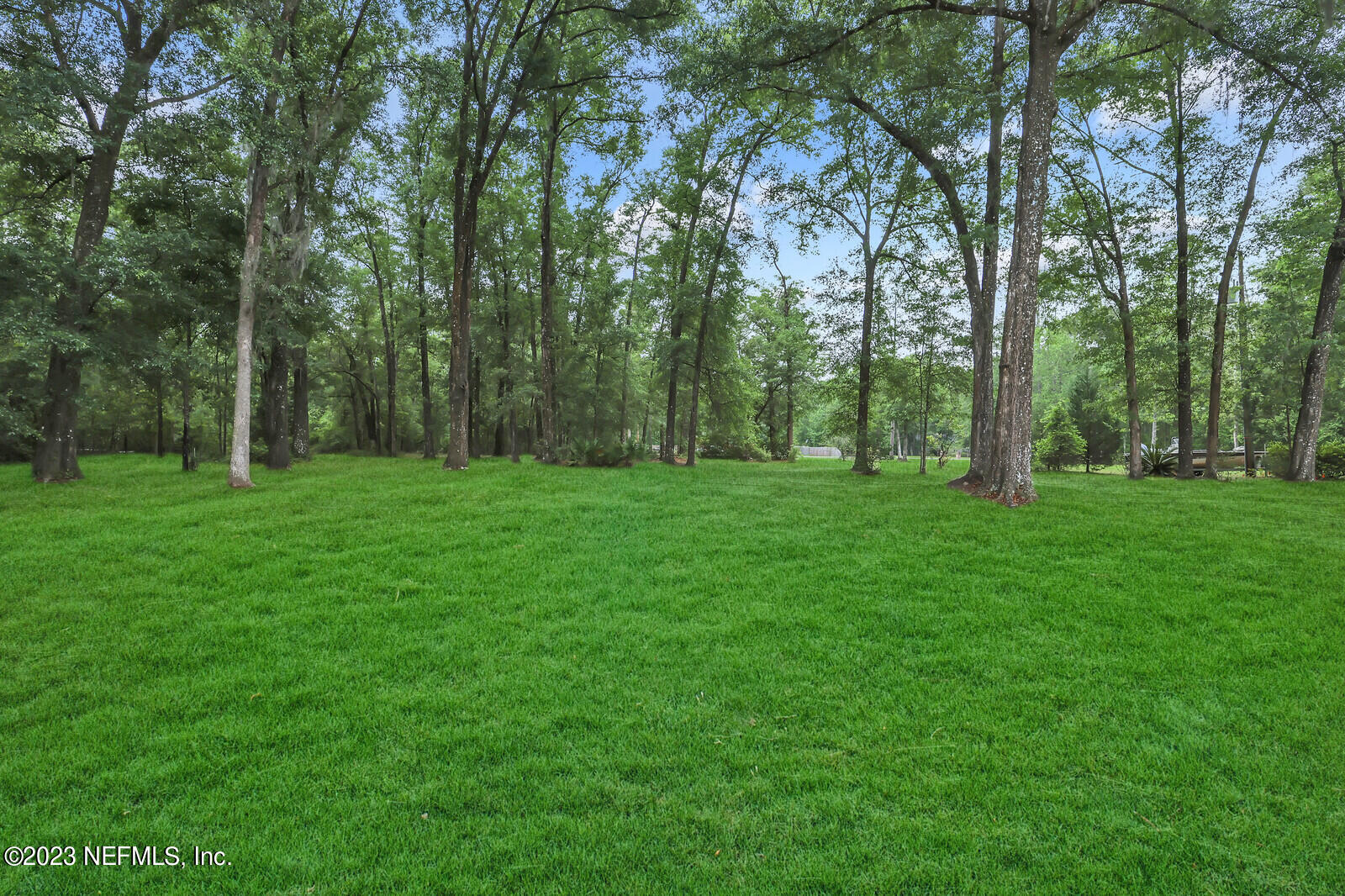 4250 Banks Road Middleburg, FL 32068 - Photo 2 of 48 a view of a grassy field with trees in the background