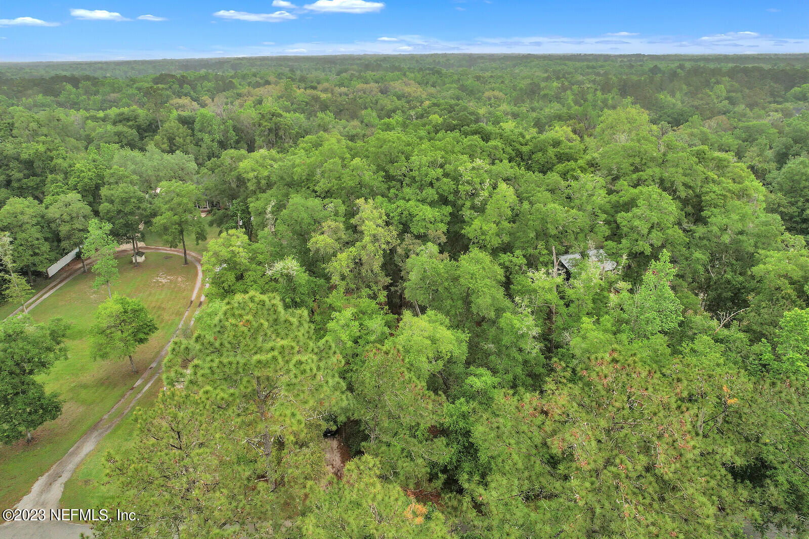 4250 Banks Road Middleburg, FL 32068 - Photo 40 of 48 a view of a forest with a street