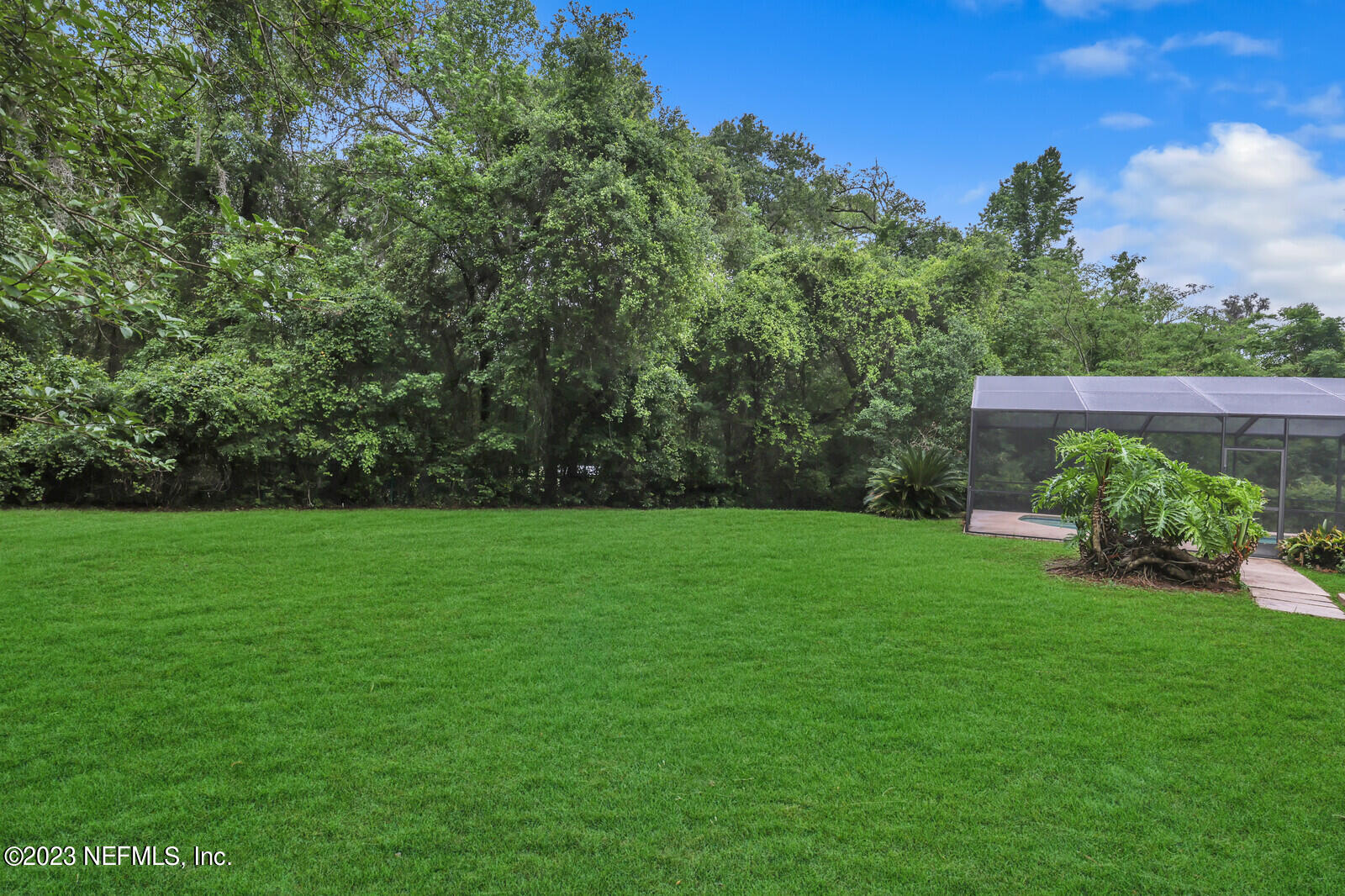 4250 Banks Road Middleburg, FL 32068 - Photo 4 of 48 a view of a yard with a tree