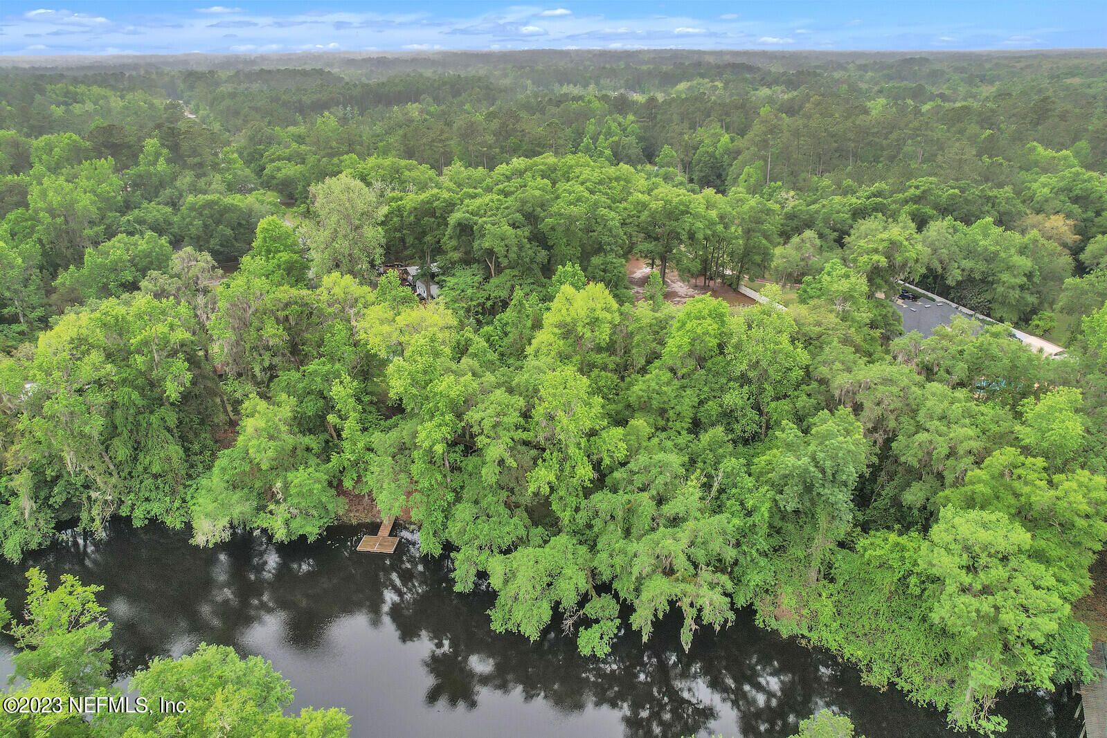 4250 Banks Road Middleburg, FL 32068 - Photo 42 of 48 a view of a lush green forest with trees and houses
