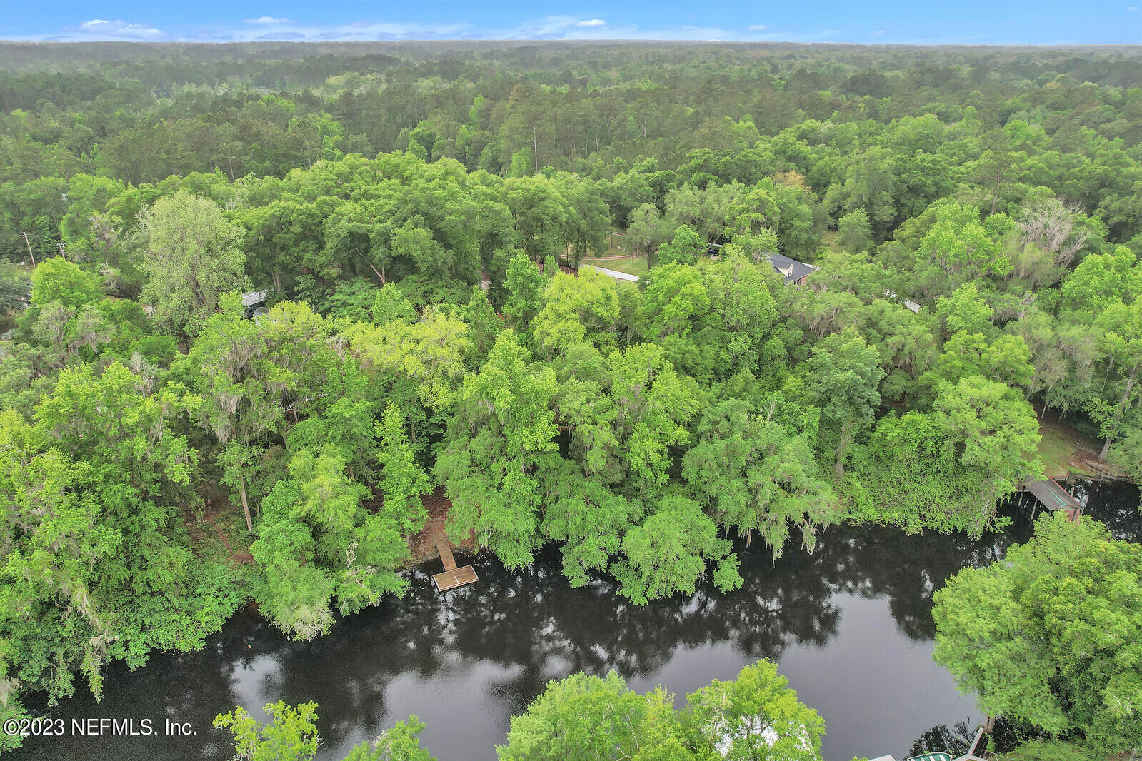 4250 Banks Road Middleburg, FL 32068 - Photo 43 of 48 a view of a lush green forest with houses