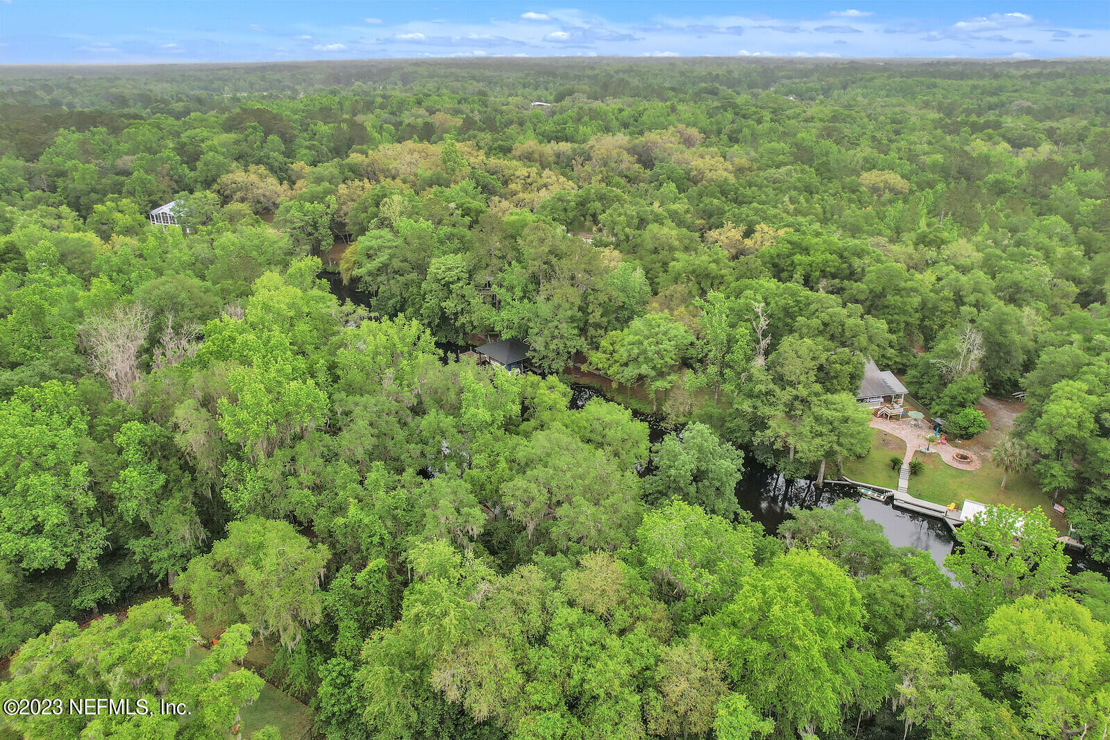 4250 Banks Road Middleburg, FL 32068 - Photo 45 of 48 a view of a green field with lots of bushes