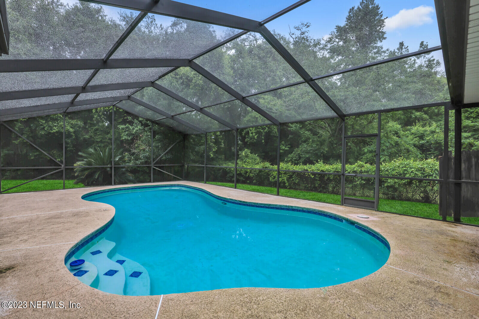 4250 Banks Road Middleburg, FL 32068 - Photo 48 of 48 a view of a swimming pool with a yard