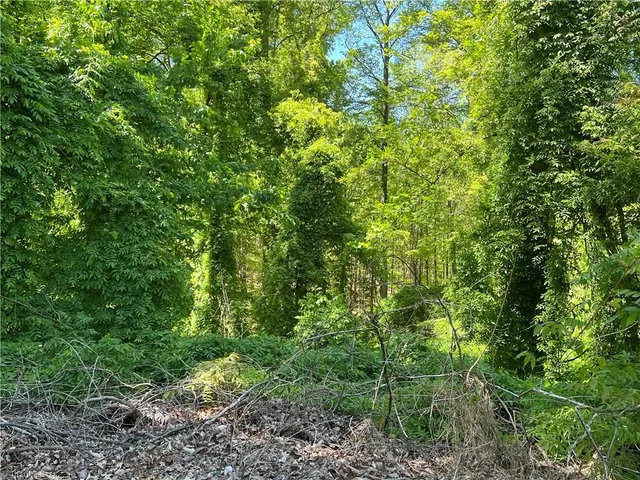 $35,000 | 87 Highway 87, Eden, NC 27288