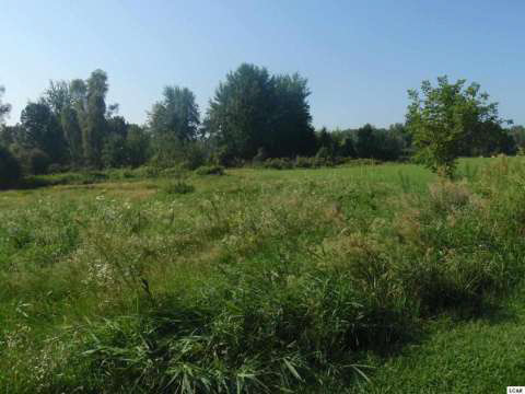2995 Sharp Road Adrian, MI 49221 - Photo 13 of 15 20369496-12.JPG