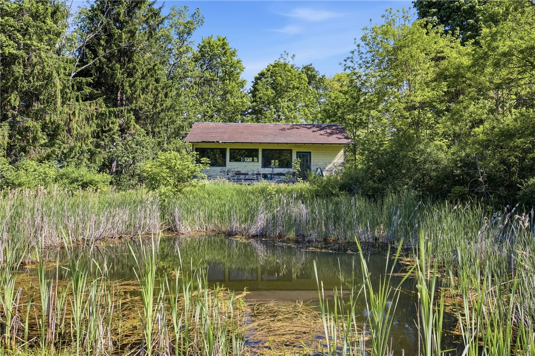 4140 Decamp Road Tyrone, NY 14837 - Photo 45 of 50