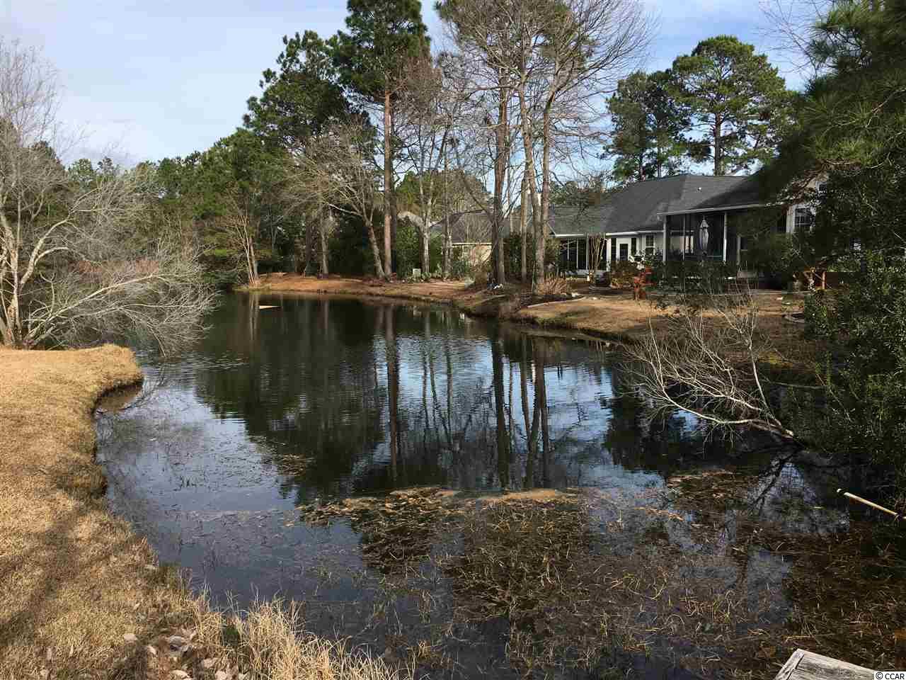 102 Cooper River Road Myrtle Beach, SC 29588 - Photo 4 of 31 Gallery Image 4