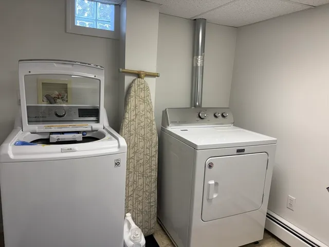 a living room with a couch and a potted plant
