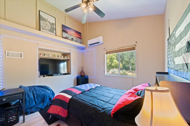 a view of a park with tree s