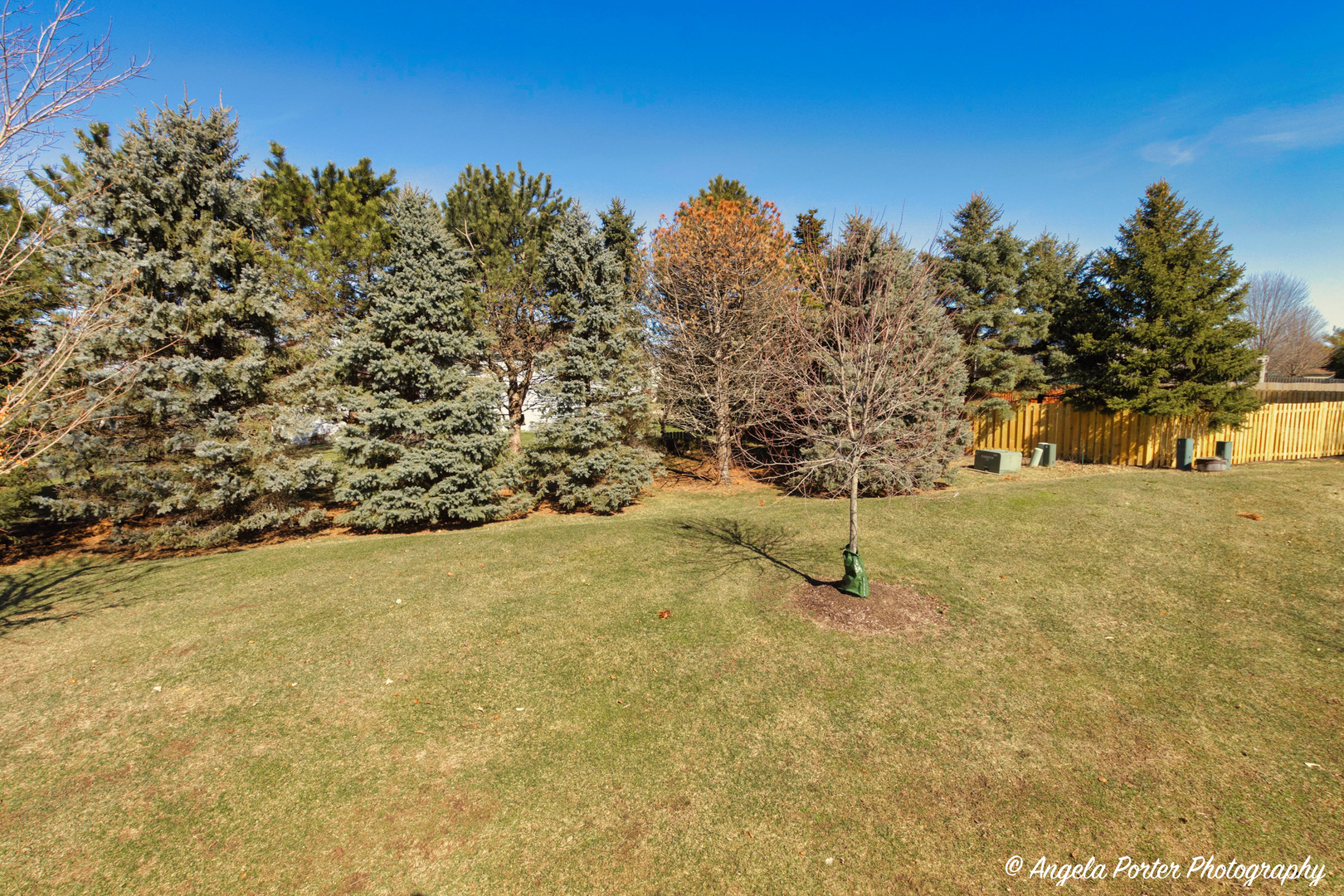 5850 Fieldstone Trail McHenry, IL 60050 - Photo 27 of 28 a view of outdoor space and trees