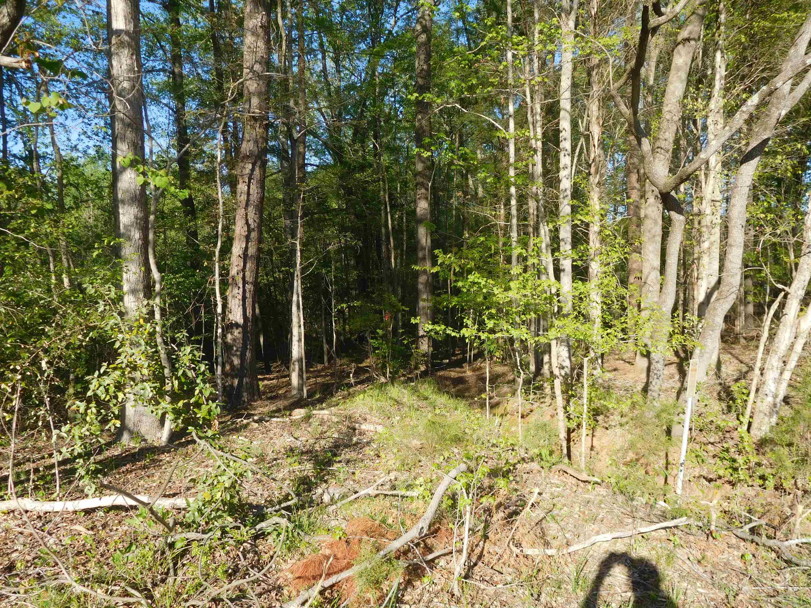 Tbd Great Mdws Road Gaffney, SC 29340 - Photo 3 of 3 Gallery Image 3