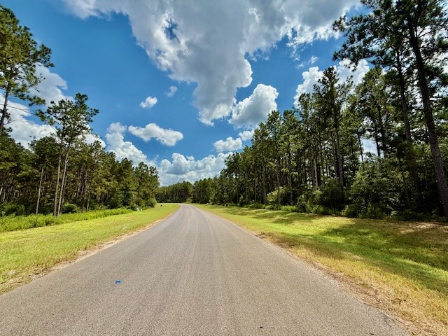 10790 Ruger Road Willis, TX 77378 - Photo 12 of 18 a view of a basketball court