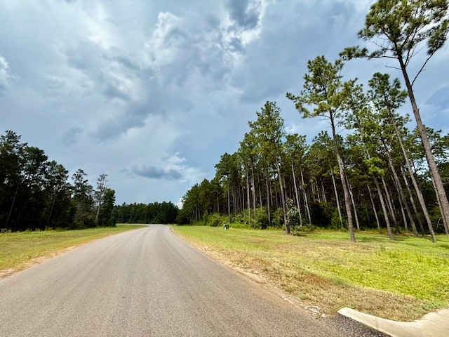 10790 Ruger Road Willis, TX 77378 - Photo 13 of 18 a view of swimming pool