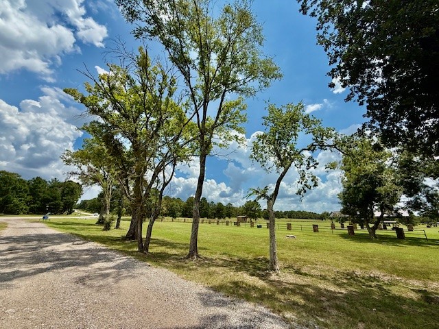 10790 Ruger Road Willis, TX 77378 - Photo 8 of 18 a view of a park