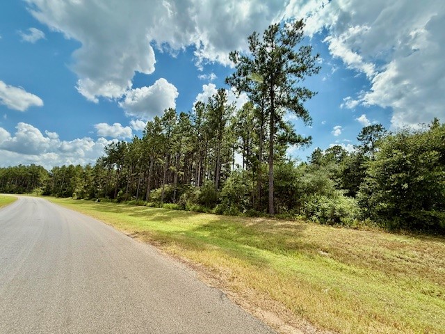 10790 Ruger Road Willis, TX 77378 - Photo 9 of 18 a view of a big yard with large trees