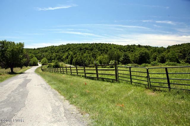 0 Jaketown Road Livingston Manor, NY 12758 - Photo 2 of 16