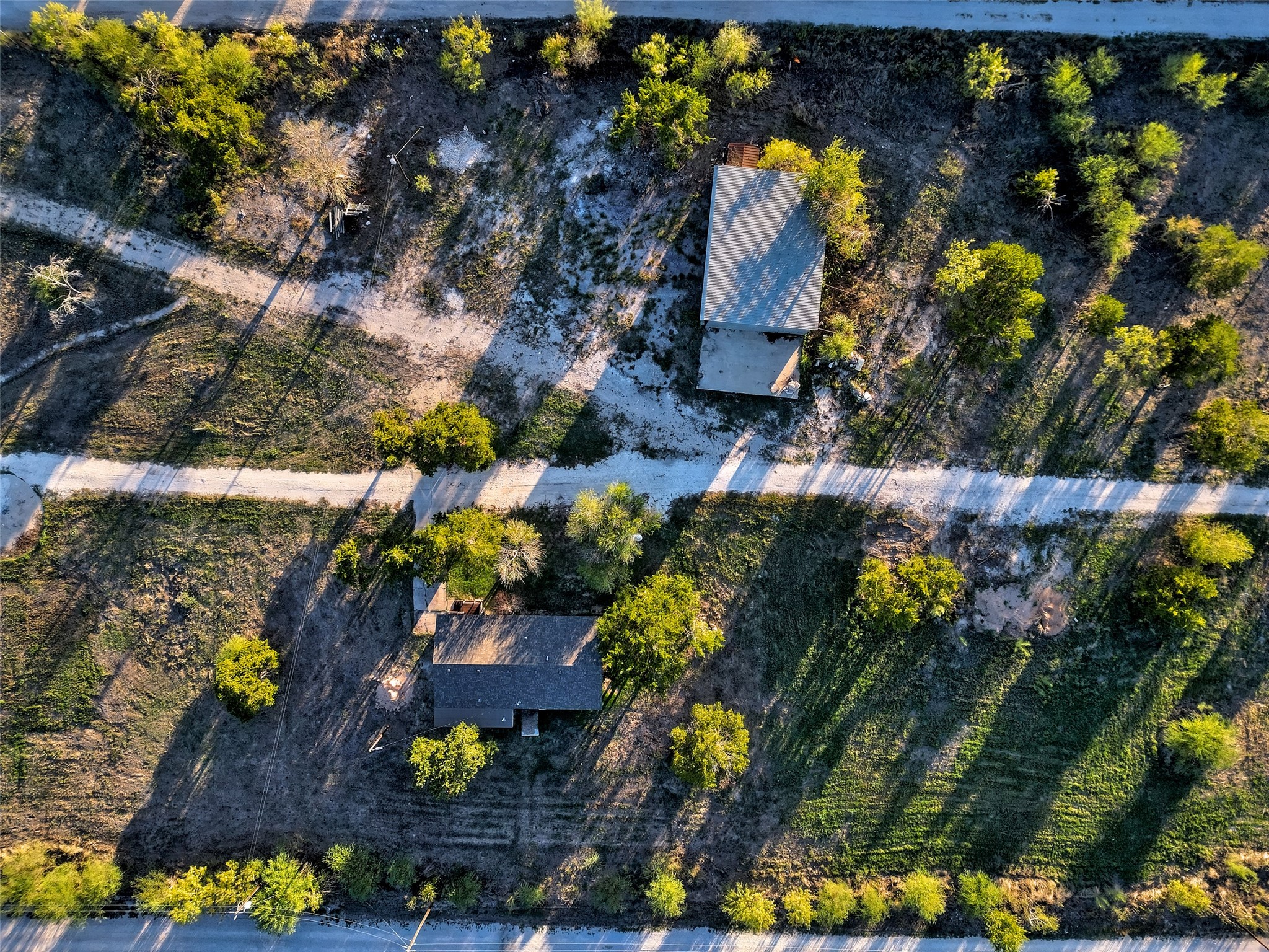 11622 Doyle Overton Road Austin, TX 78719 - Photo 14 of 15 Mature trees dot this sprawling acreage offering plenty of space and privacy.
