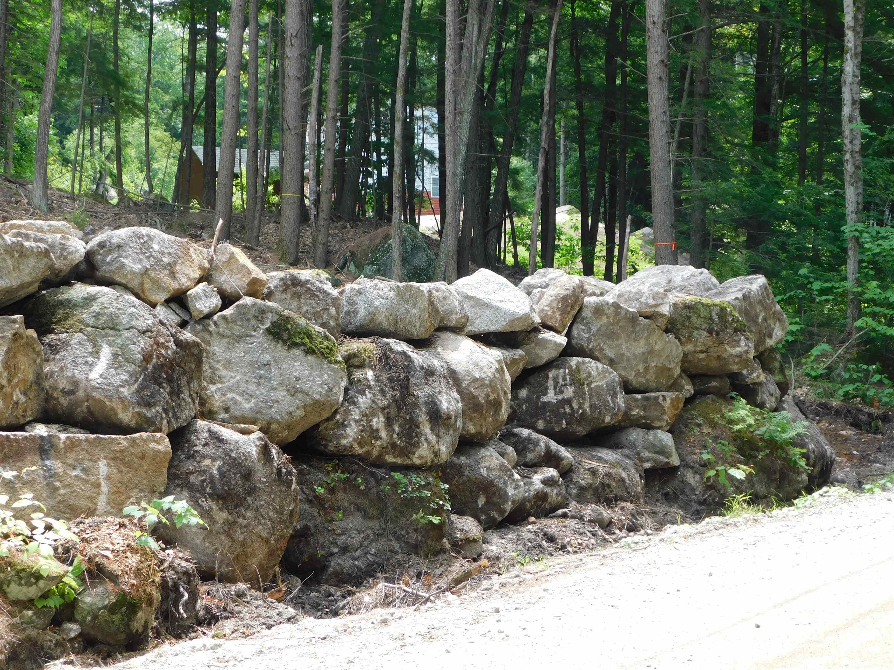0 Bog Road Hillsborough, NH 03244 - Photo 8 of 9