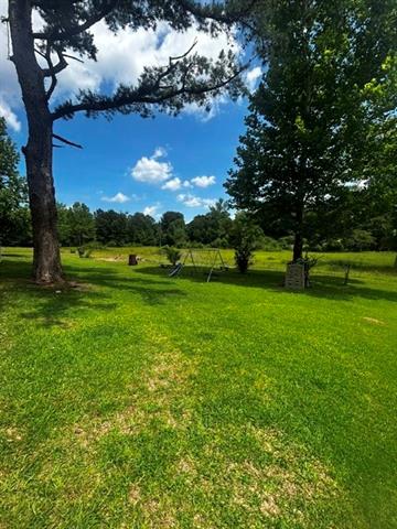519 Fred Scott Pollock, LA 71467 - Photo 3 of 6
