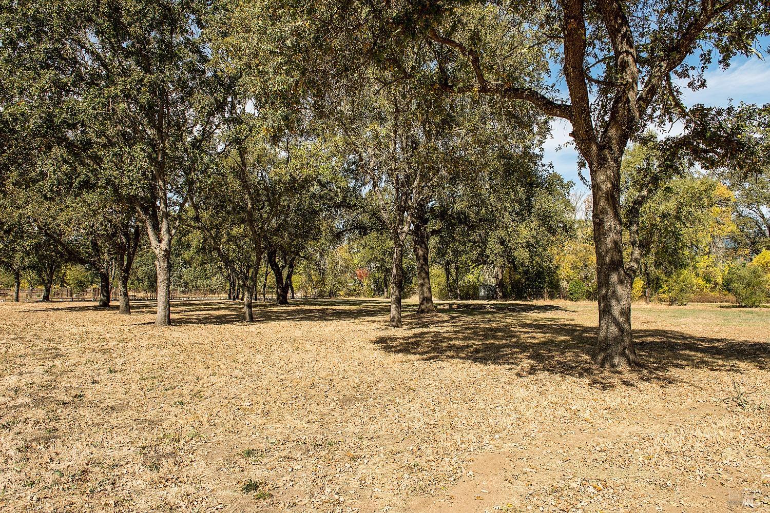 3002 Foothill Boulevard Calistoga, CA 94515 - Photo 43 of 60 a view of a yard covered with snow