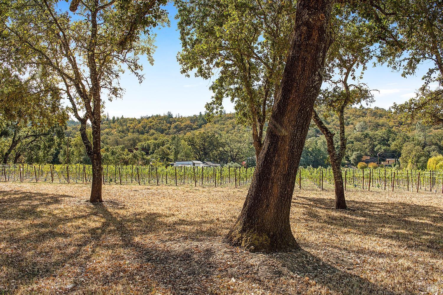 3002 Foothill Boulevard Calistoga, CA 94515 - Photo 46 of 60 a view of a lake view