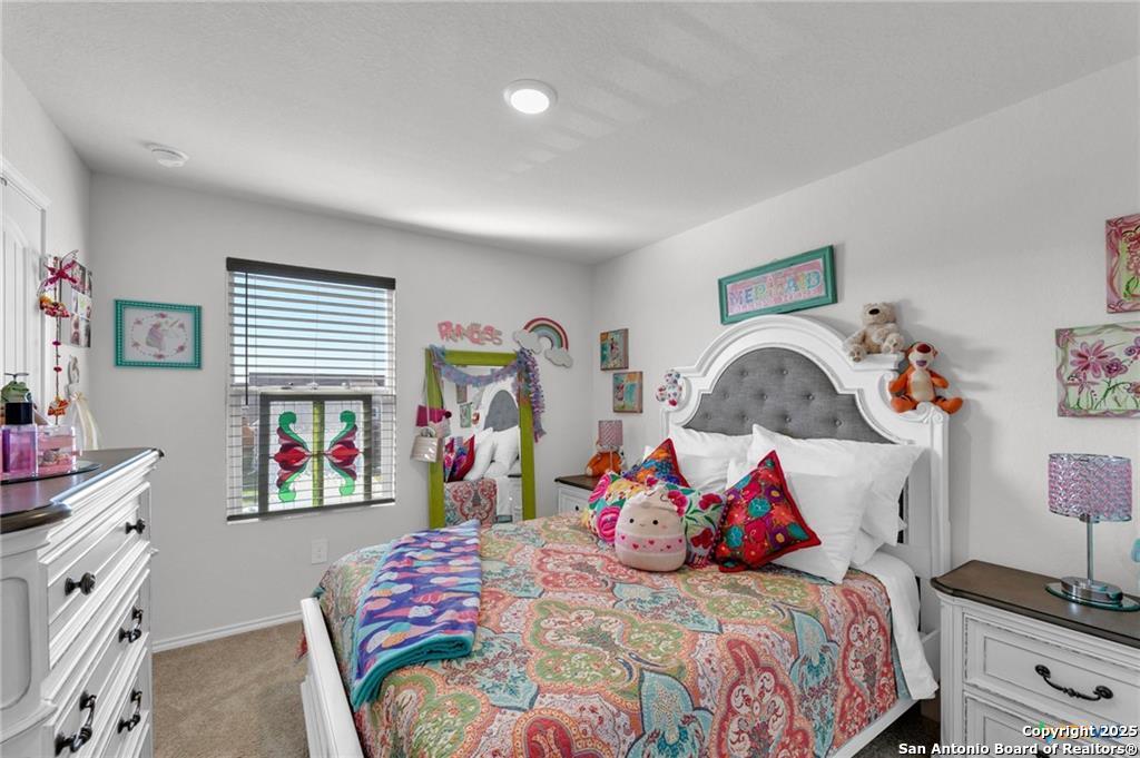 437 Signe Seguin, TX 78155 - Photo 11 of 15