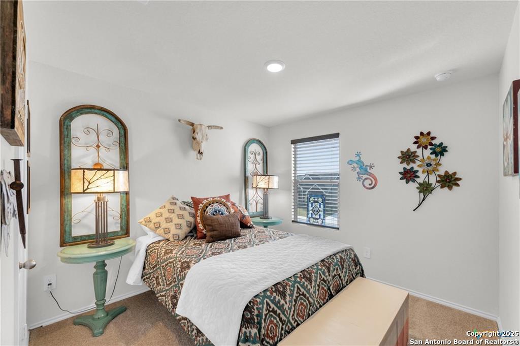 437 Signe Seguin, TX 78155 - Photo 12 of 15