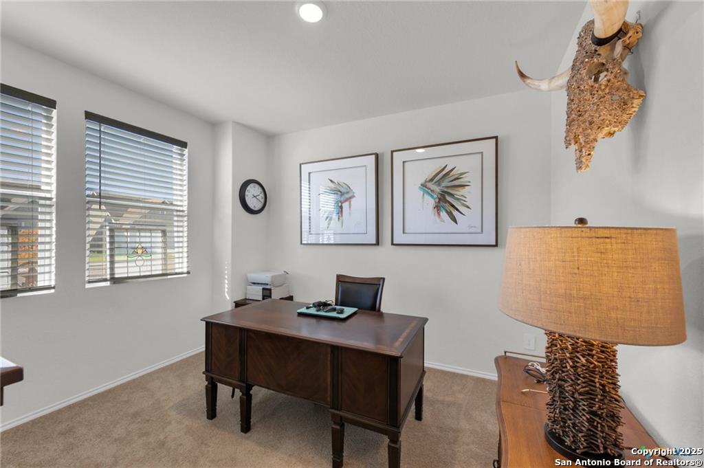 437 Signe Seguin, TX 78155 - Photo 9 of 15