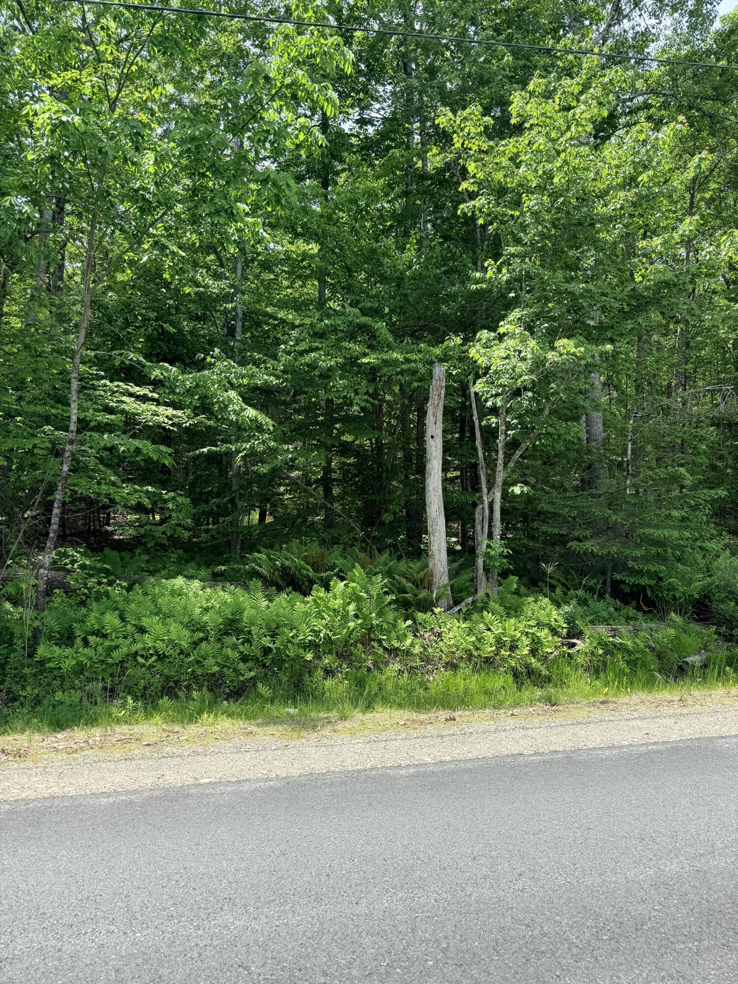 Lot #15 Greenacre Road Lincolnville, ME 04849 - Photo 8 of 23