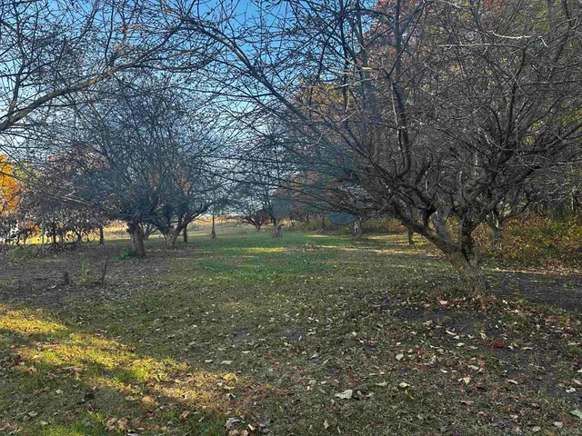 $395,000 | W1712 Deerborn Drive, Neshkoro, WI 54960