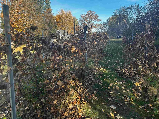 $395,000 | W1712 Deerborn Drive, Neshkoro, WI 54960